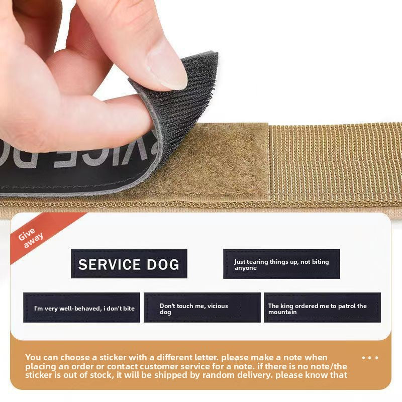 Heavy-duty nylon collar for large dogs, 3 sizes available