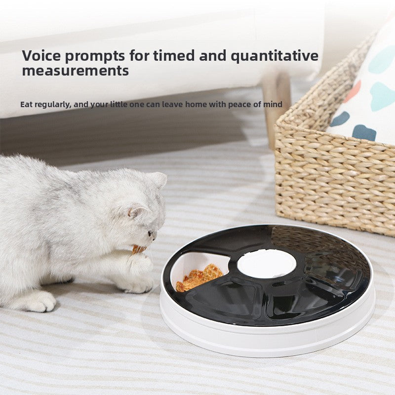 Six-Compartment Automatic Timed Cat Feeder Bowl with Programmable Meal Schedule