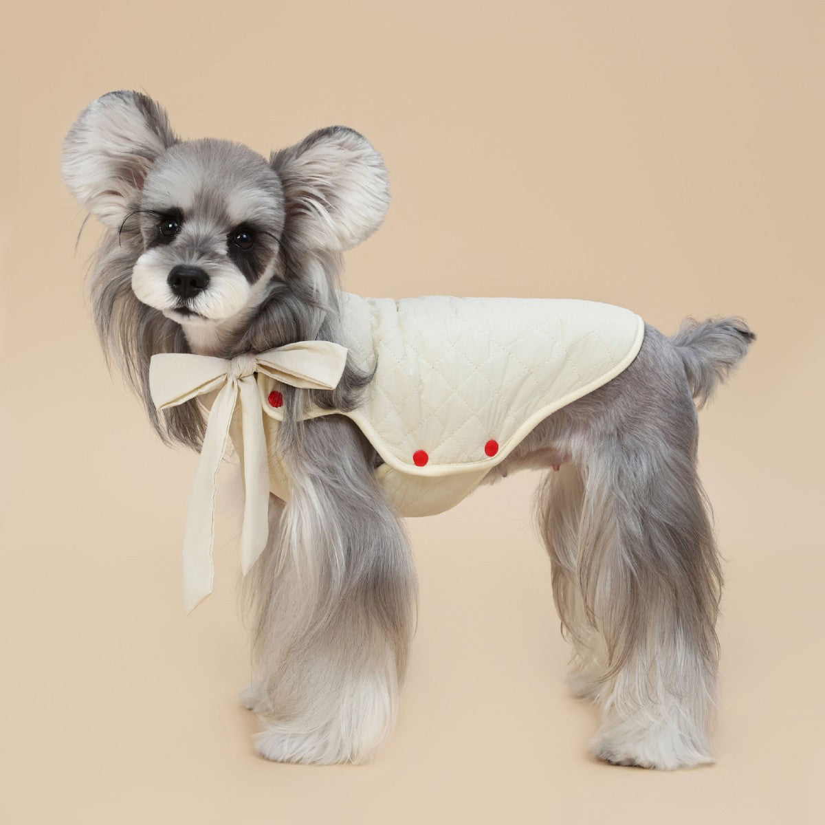 Sweet bow padded winter coat for small dogs in Sweet Bow Coat, front view