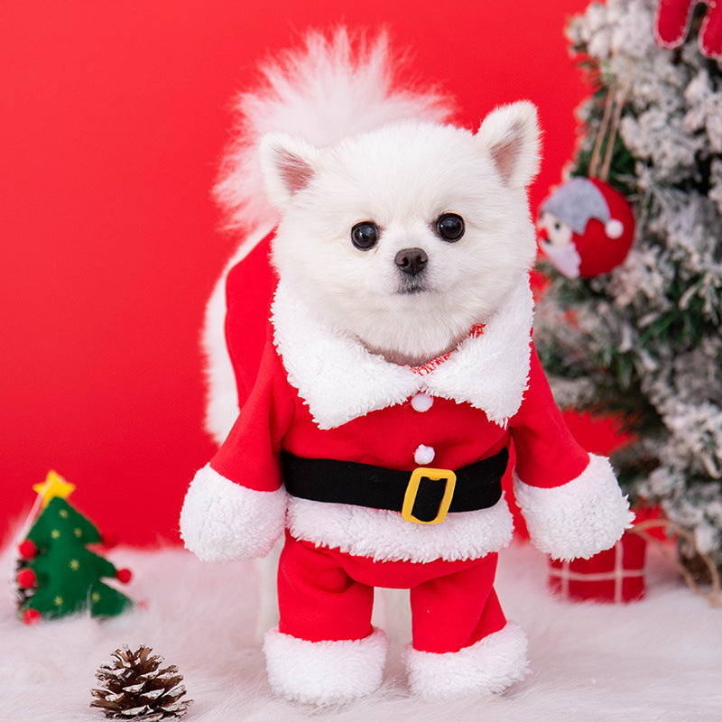Christmas standing Santa costume with hat for pets, in a home setting