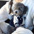 Varsity baseball jacket for small dogs and cats, available in 2 colours, image 7