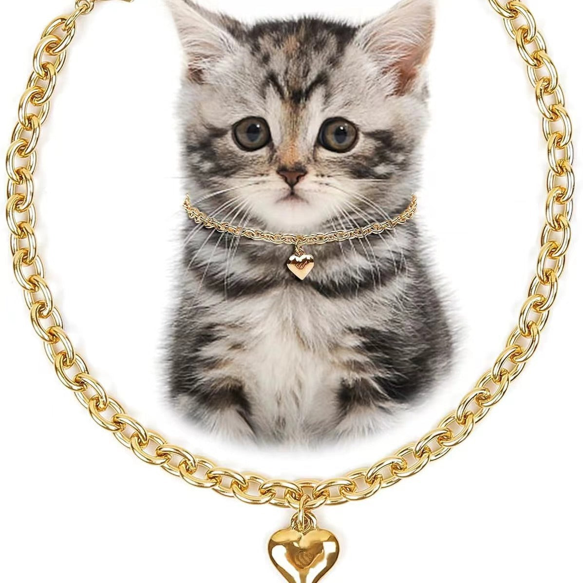 Alloy chain pet necklace with heart pendant in 2 colour options