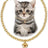 Alloy chain pet necklace with heart pendant in 2 colour options