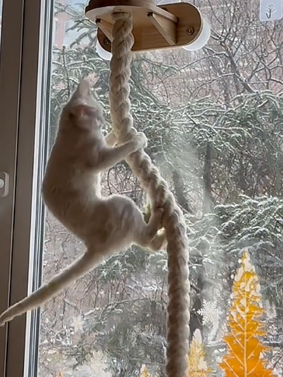 Natural jute cat climbing rope with wooden jumping platform, photo 3