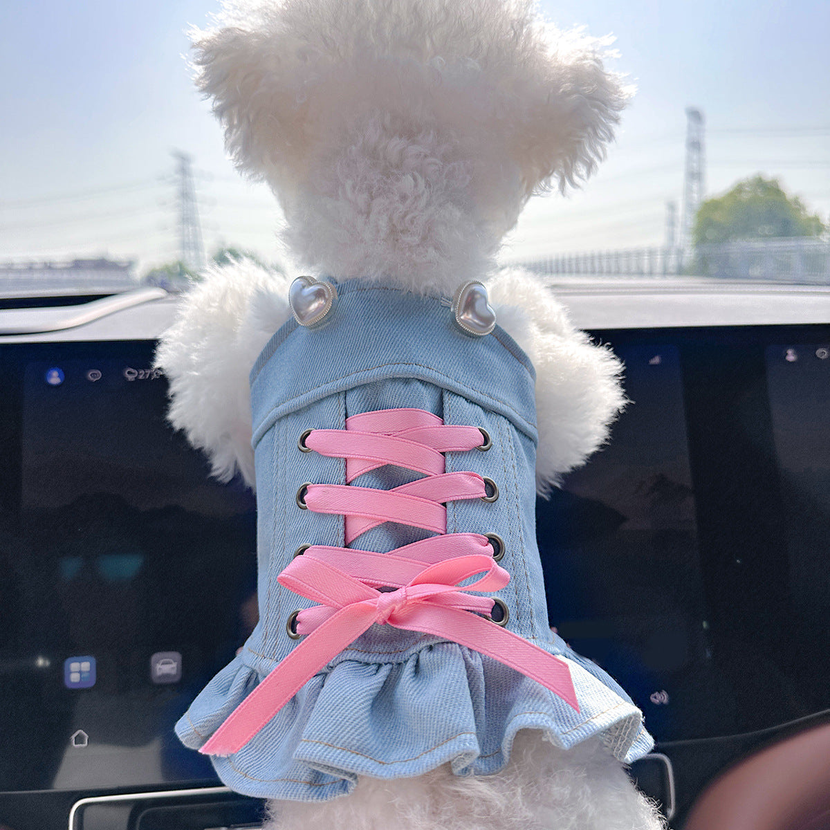 Cute denim skirt for small dogs and cats, available in 13 styles, image 7