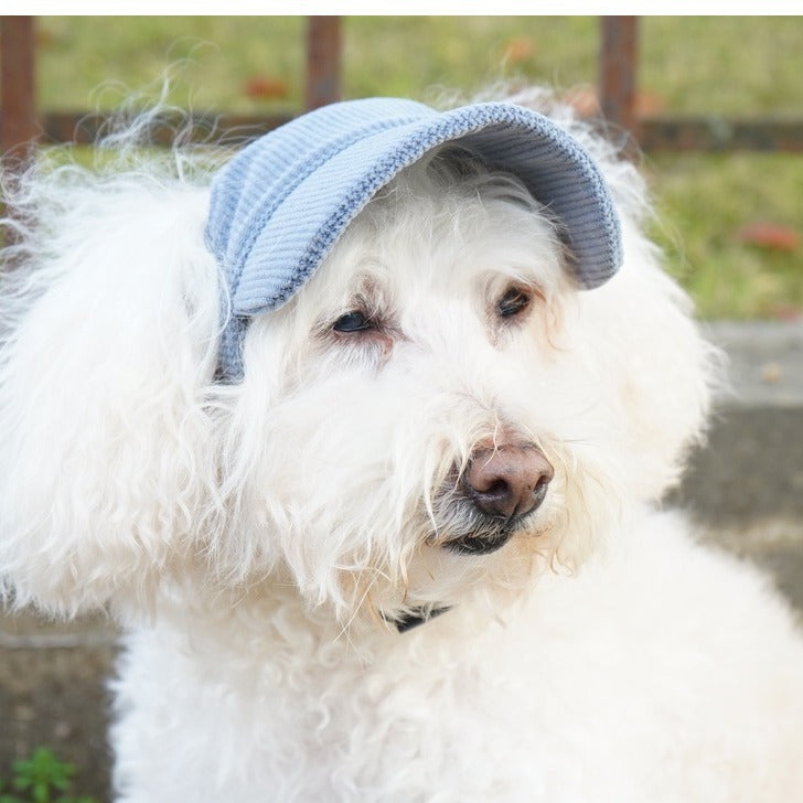 Corduroy sun hat for dogs and cats, available in 3 colours, image 3