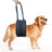 Dog support and lifting harness, 4 sizes available