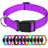Reflective nylon dog collar, available from Pet Royale UK