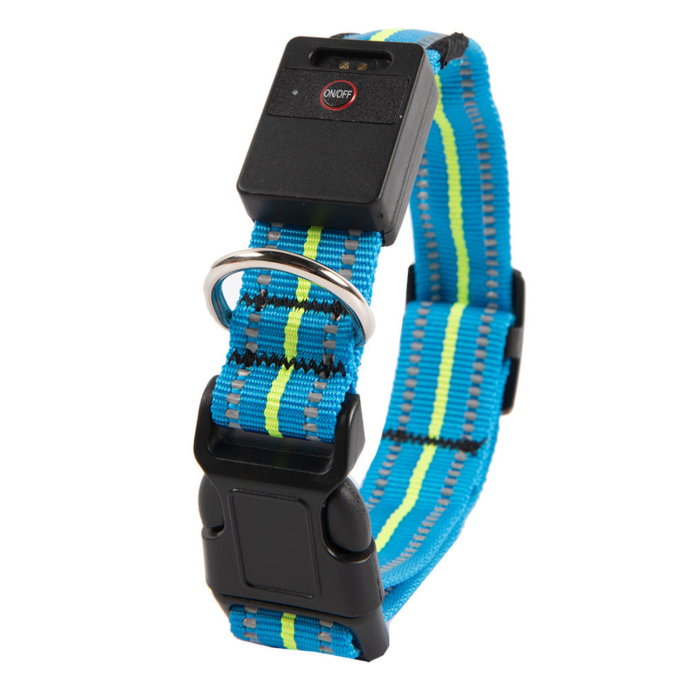 Blue fibre optic LED dog collar glowing on a night walk
