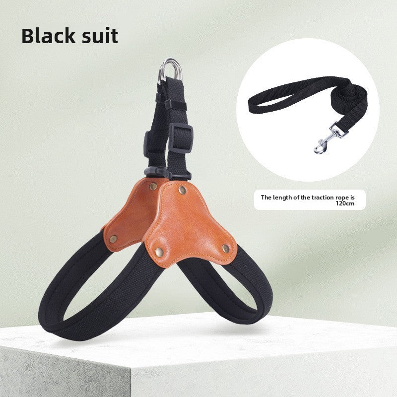 Breathable mesh Y-shape dog harness, available from Pet Royale UK