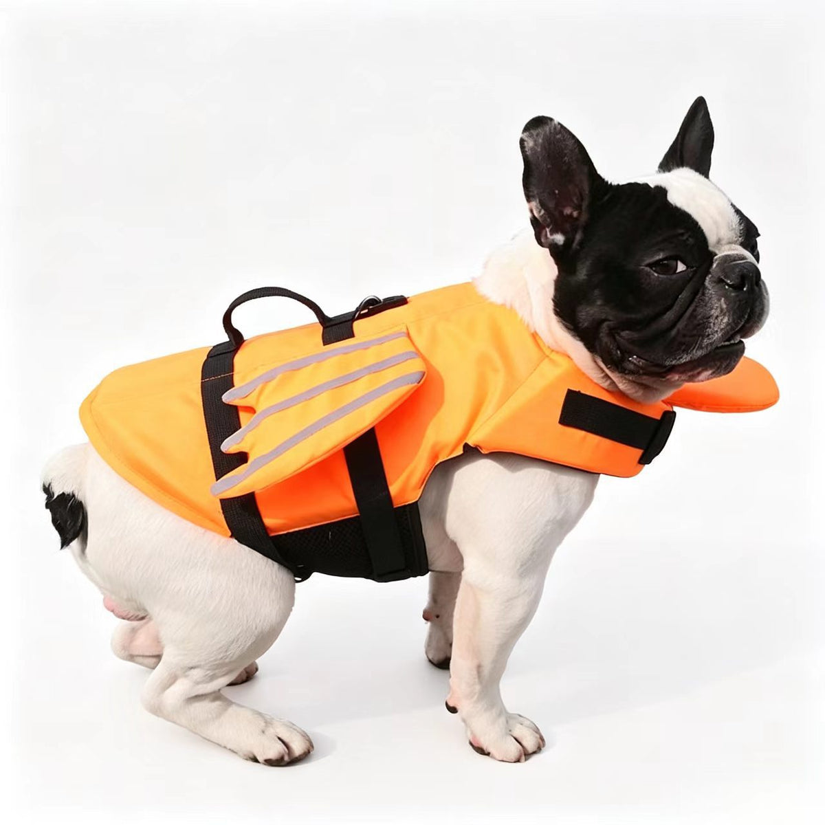 Dog swim vest with reflective angel wings in Blue, in a home setting