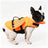 Dog swim vest with reflective angel wings in Blue, in a home setting