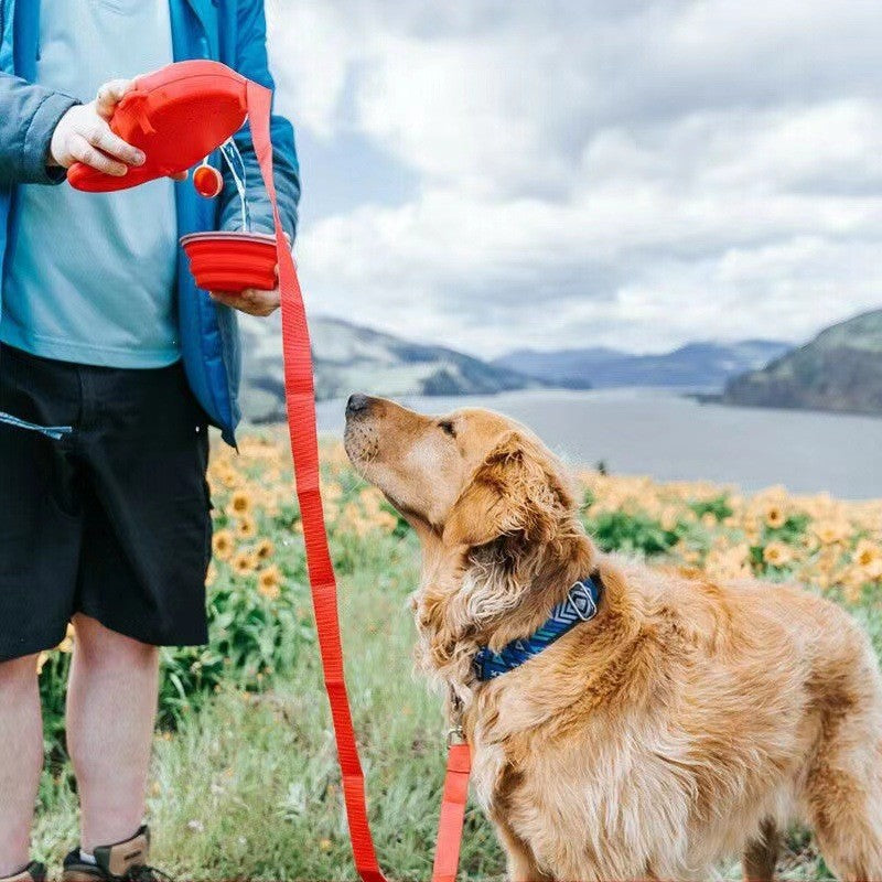 3-in-1 dog lead with water bottle handle, ideal for walks and days out