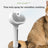 Mist Detangling Brush with Hair Removal Pins for Dogs and Cats