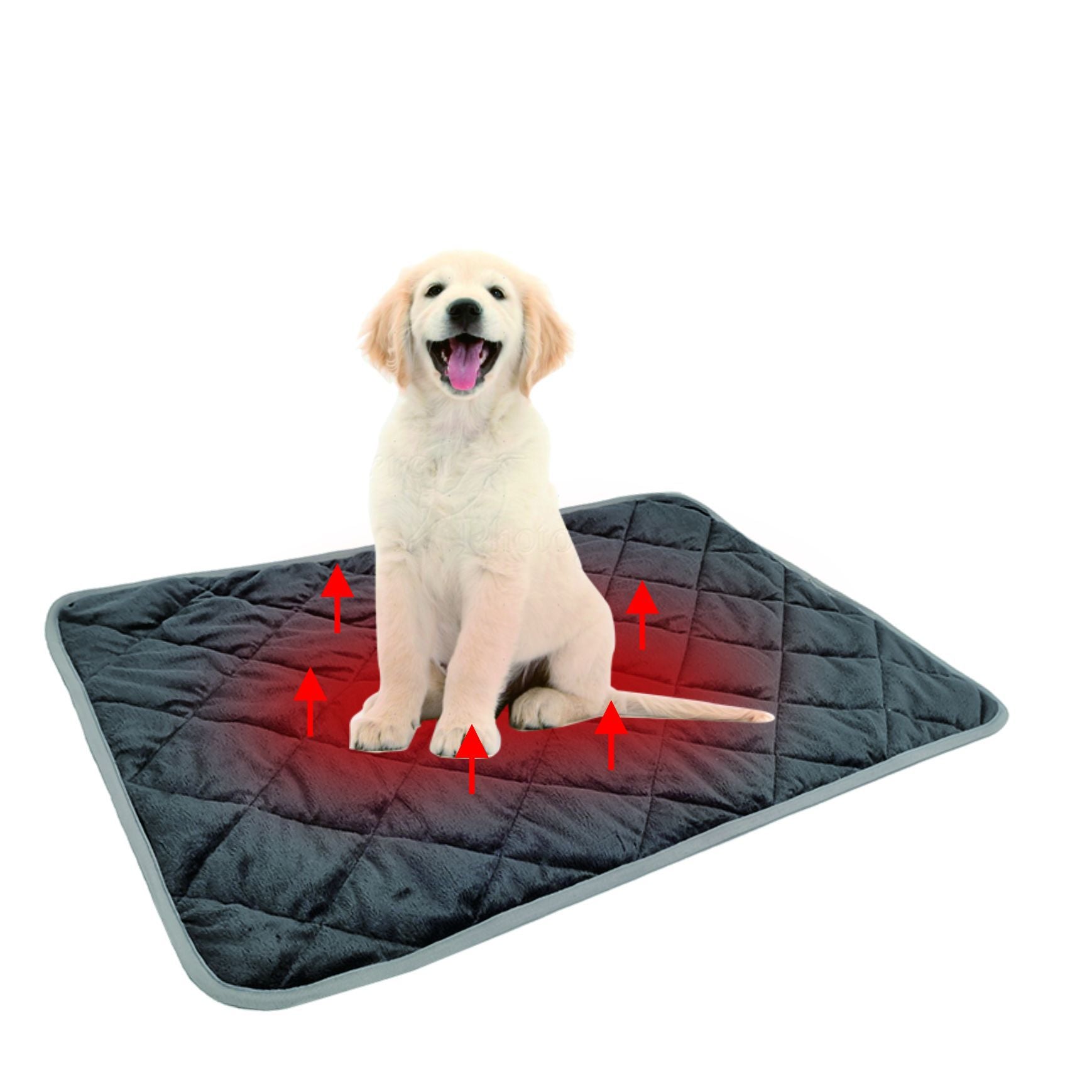 Self-warming five-layer pet pad in grey with trim
