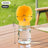 Portable 3-in-1 Pet Water Bottle with Food Container and Waste Box for Dog Walks