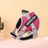 Breathable mesh no-choke dog harness in Oxford cloth, product image 34