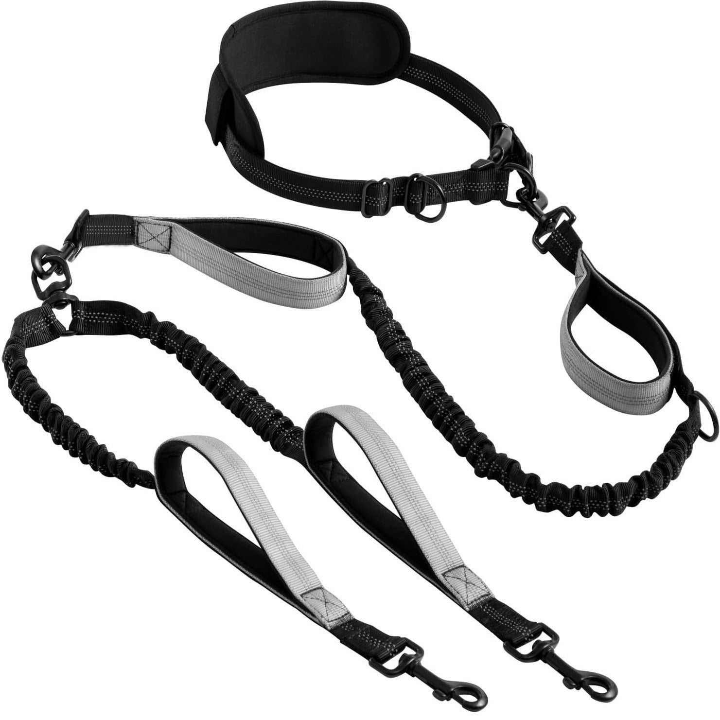 Hands-free double dog lead with bungee buffer, available from Pet Royale UK