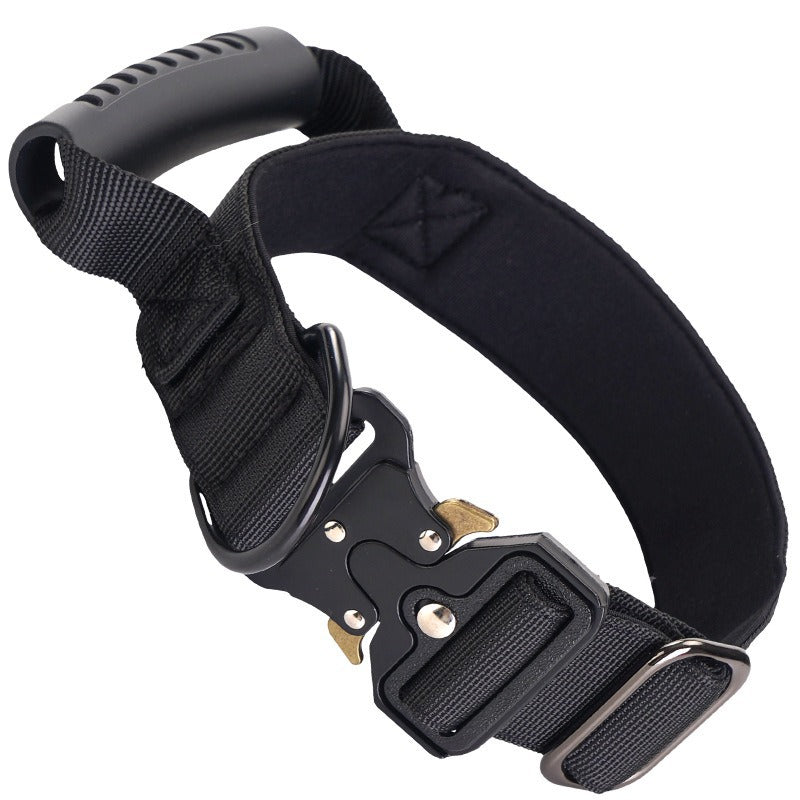 Adjustable nylon dog collar, ideal for everyday use