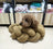 Hand-woven cotton rope pet bed in lemon yellow