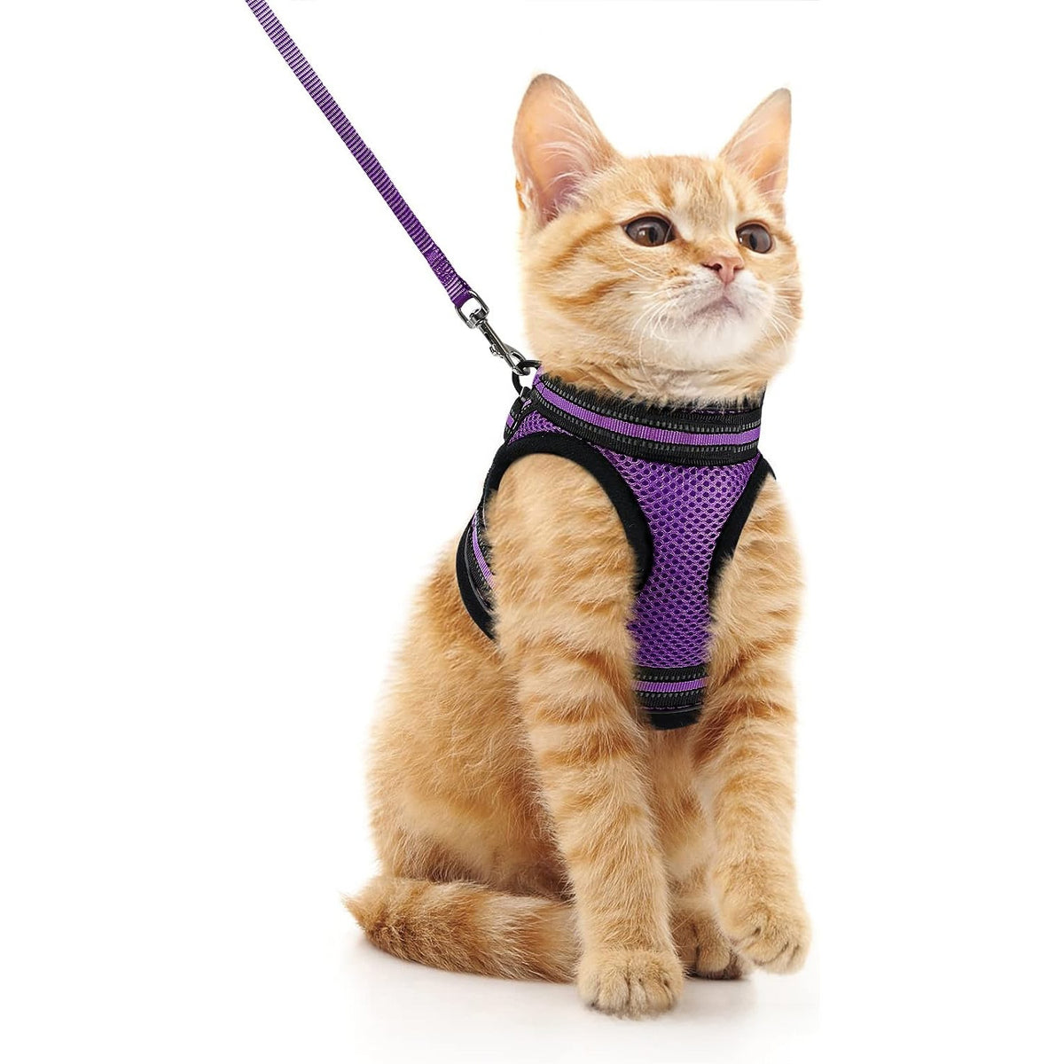 Escape-proof reflective harness and lead set in 5 colour options