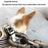 Chain link dog lead, 3 lengths available from Pet Royale UK