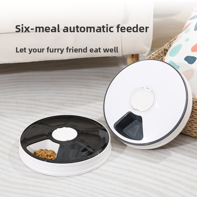 Six-Compartment Automatic Timed Cat Feeder Bowl with Programmable Meal Schedule