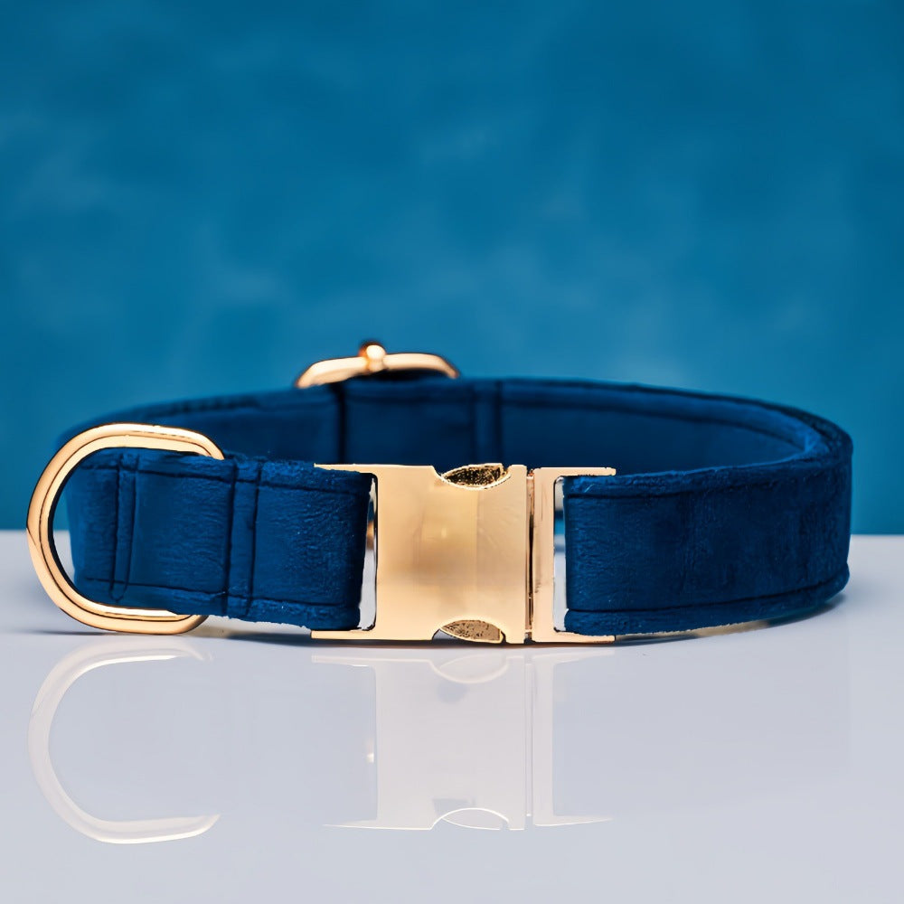 Soft velvet dog collar with metal buckle, ideal for everyday use