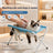 Foldable stainless steel pet bathing rack holding a dog in the bath