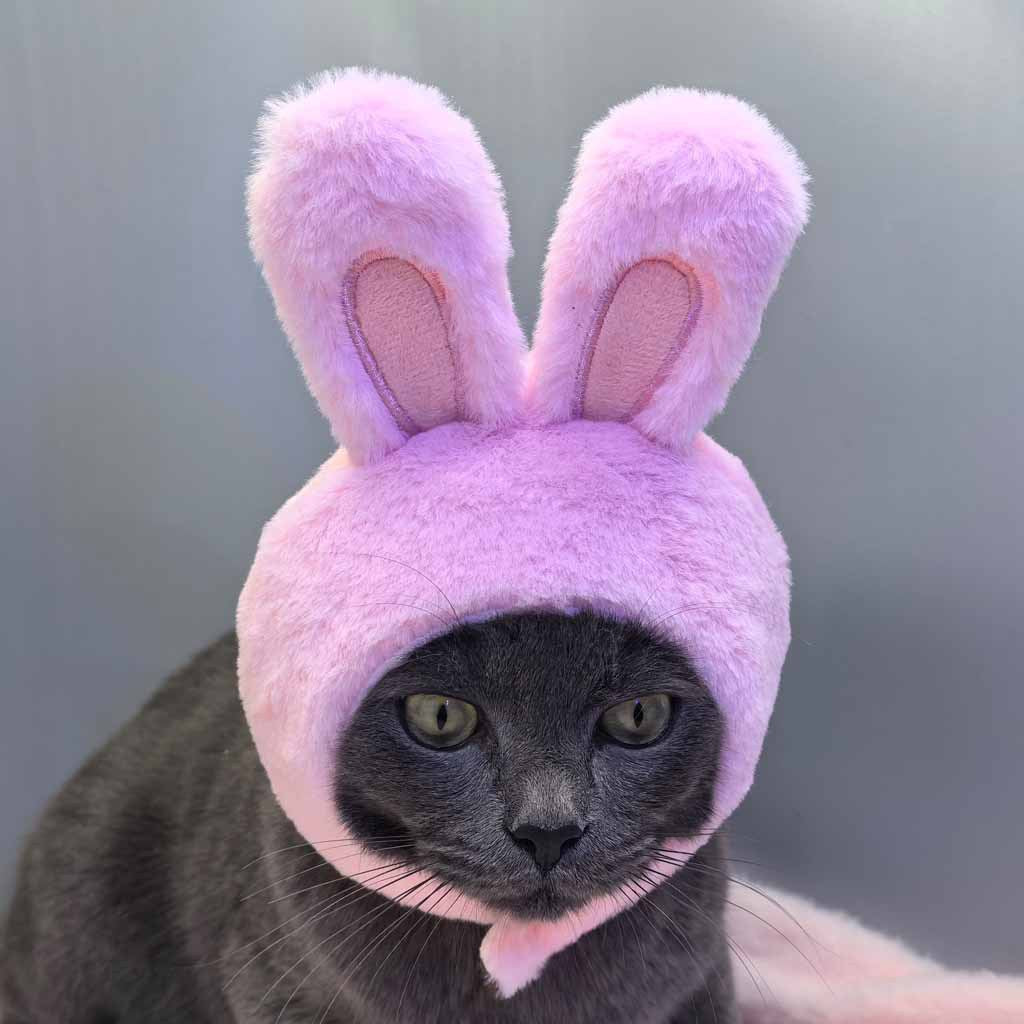 Bunny ear hat for dogs and cats, available in 3 colours, image 12