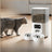 Automatic Pet Feeder with Dual Bowl and Camera Options for Cats and Small Dogs