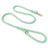 Pastel woven dog collars with gold buckles in many colours
