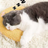 Lightweight U-shaped pet pillow pad with cotton filling, product image 2