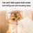 Pet Anti Lick Collar