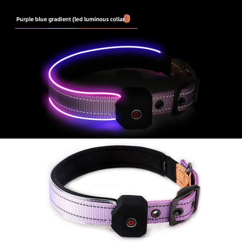 Rechargeable LED dog collar with reflective strip glowing, product image 10