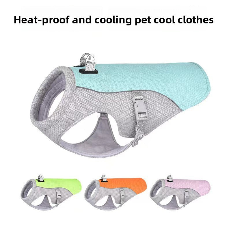 Lightweight summer dog vest with reflective trim in Blue, in a home setting