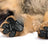 Anti-slip dog paw grip pads pack of four in black, product image 1