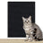 Cat scratching a flocked pad stuck to a wall