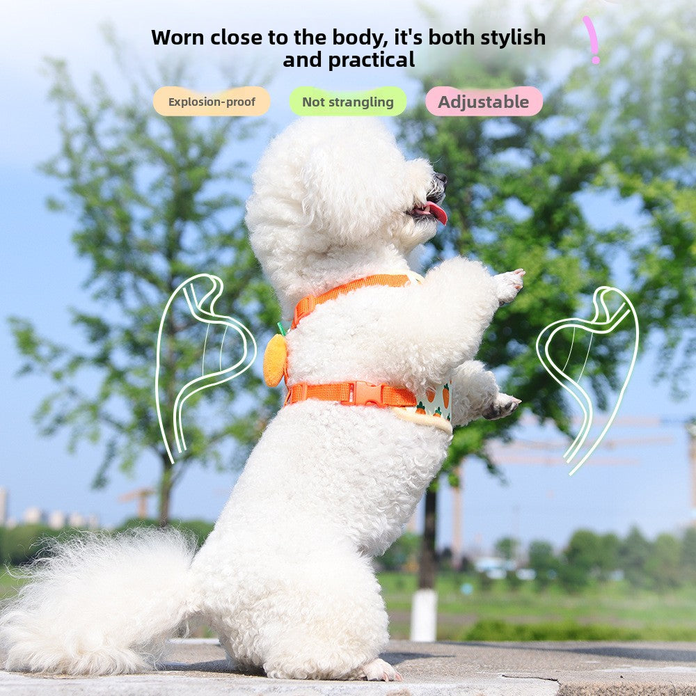 Fruit print dog harness, available from Pet Royale UK
