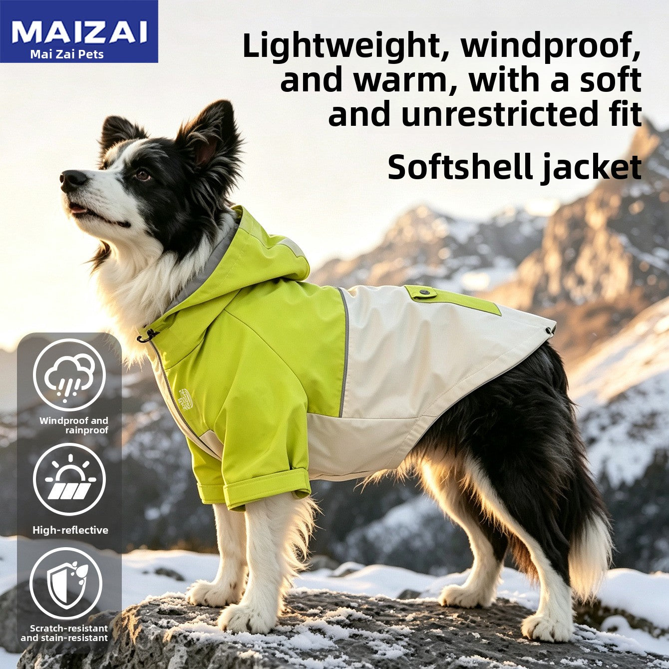 Dog wearing a misty grey blue hooded waterproof jacket