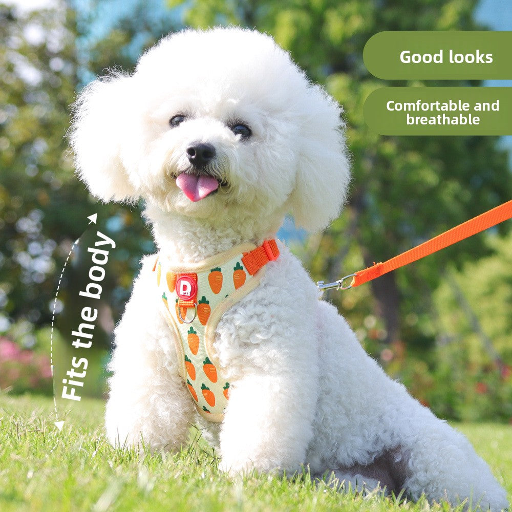 Fruit print dog harness in 3 colour options