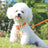 Fruit print dog harness in 3 colour options