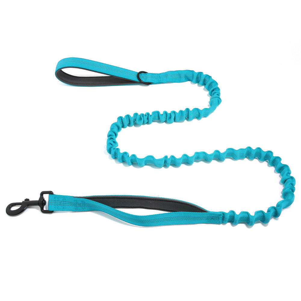 Adjustable nylon slip training lead for dogs, ideal for everyday use