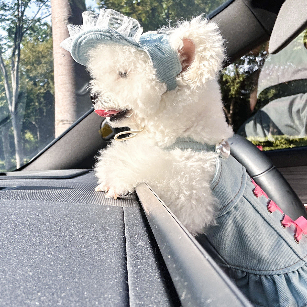 Cute denim skirt for small dogs and cats, available in 13 styles, image 2