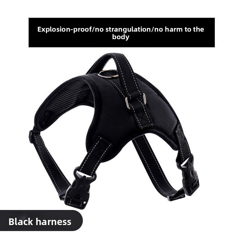 Dog harness and lead set shown in pink, purple and black