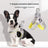 Breathable mesh Y-shape dog harness, ideal for everyday use