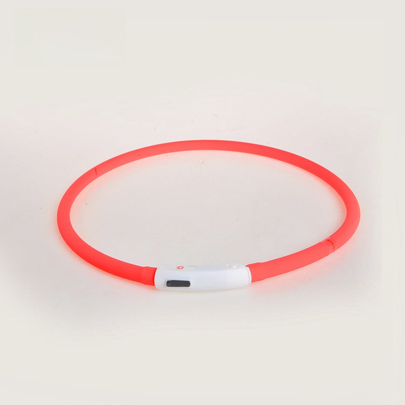 Rechargeable LED silicone dog collar in Orange, in a home setting