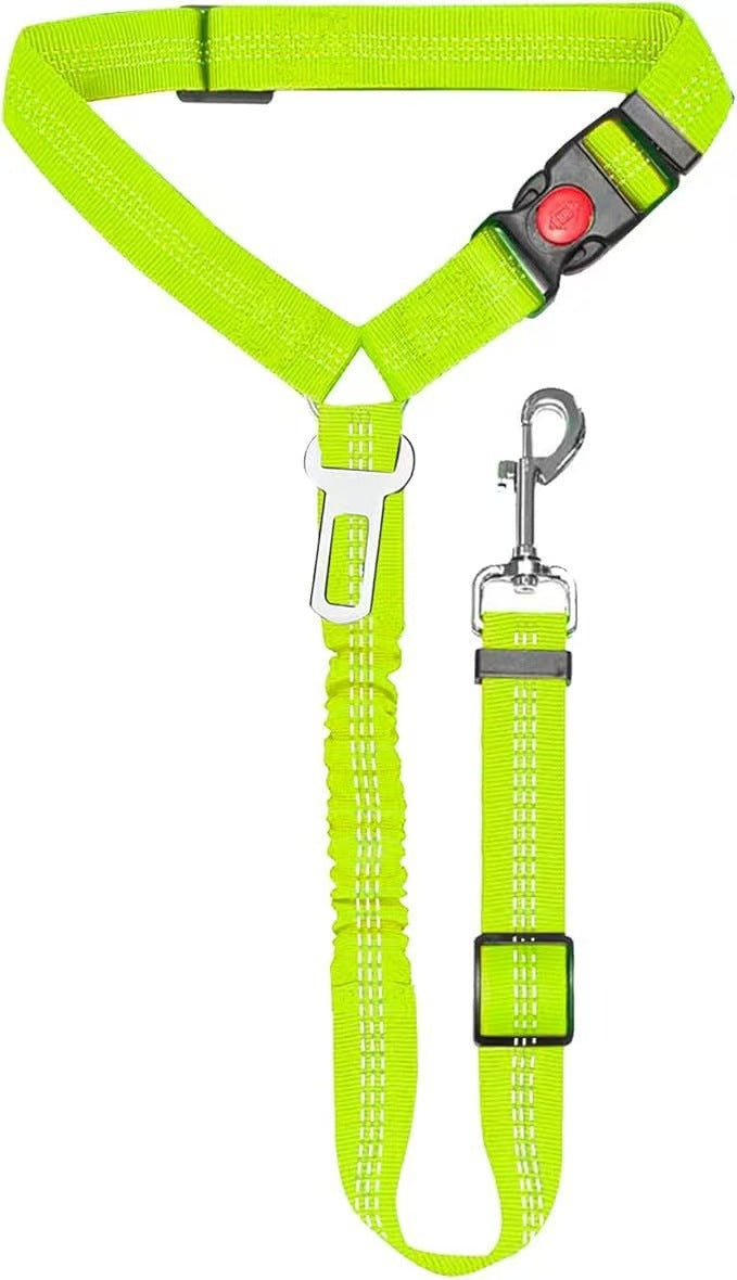 Elastic car seat belt lead for dogs, close-up detail view