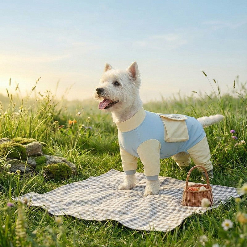 Four leg dog coverall with lead attachment, available in 2 colours, image 57