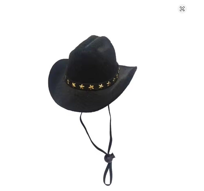 Western felt cowboy hat for small dogs and cats, in a home setting